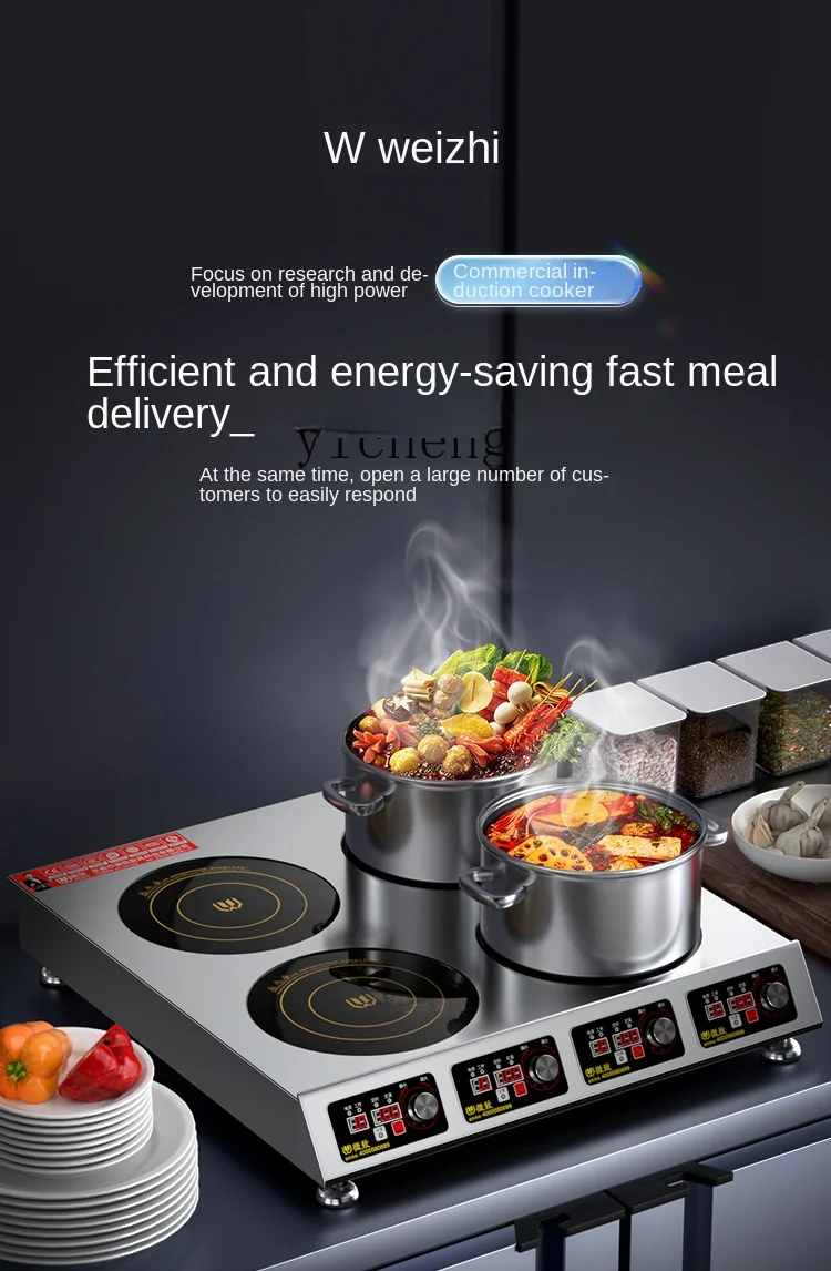 Induction Cooker - Profesjonalny kuchenka indukcyjna z wieloma grzałkami,